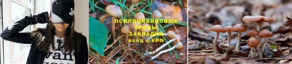 дмт Магадан