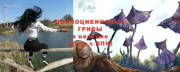 твердый Богородицк